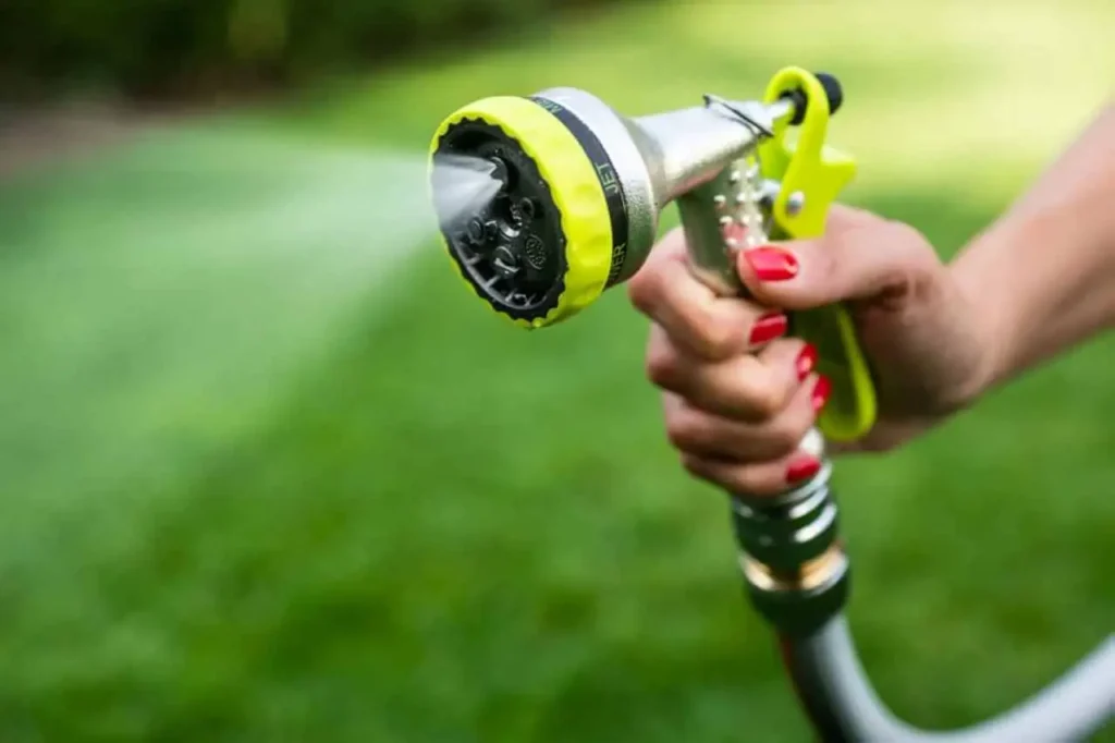 Come proteggere le piante dal caldo estivo: il metodo efficace Come proteggere le piante dal caldo estivo: il metodo efficace