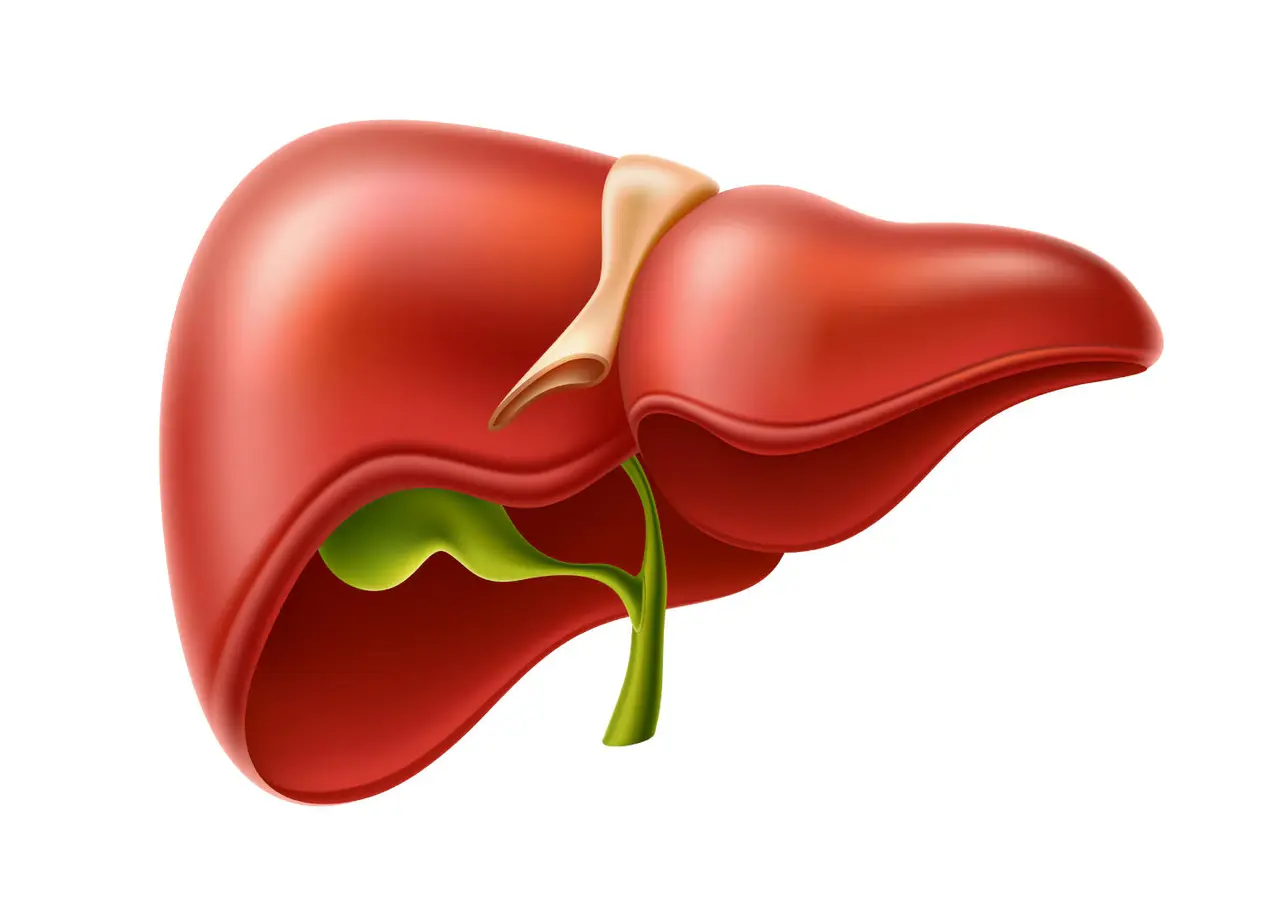 Pianta segreta che depura fegato e intestino: ecco come usarla davvero per stare meglio Immagine selezionata