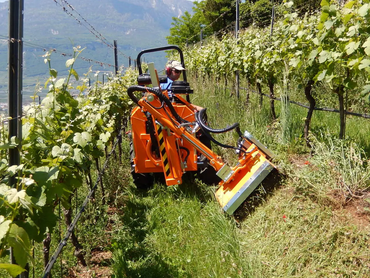 L’abitudine primaverile in giardino che inquina più dell’auto L’abitudine primaverile in giardino che inquina più dell’auto