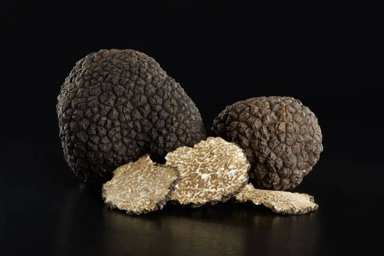 Dove trovare funghi pregiati la guida alle zone migliori anche vicino a te Immagine selezionata