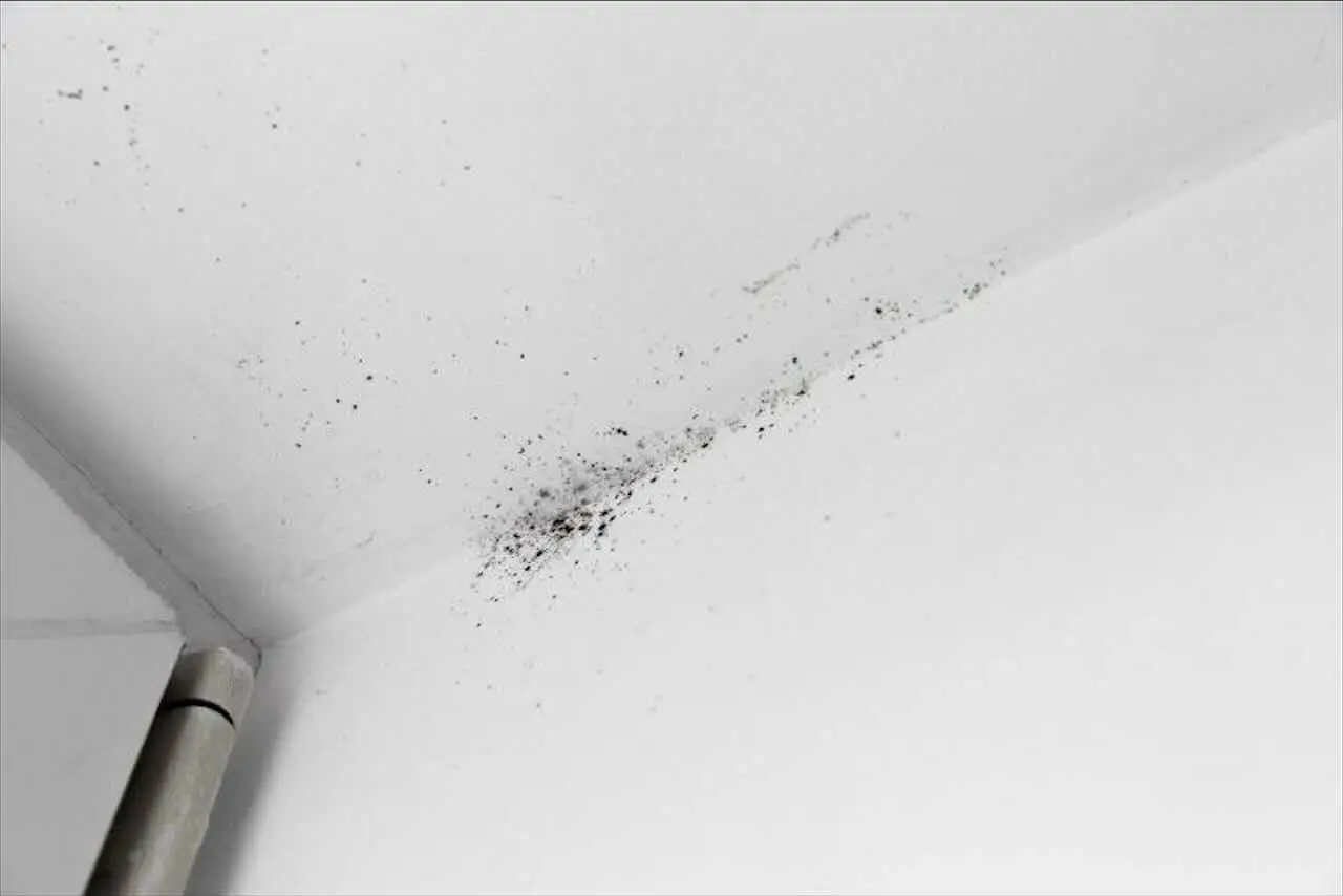 Come individuare le cause dell’umidità in casa tua Immagine selezionata