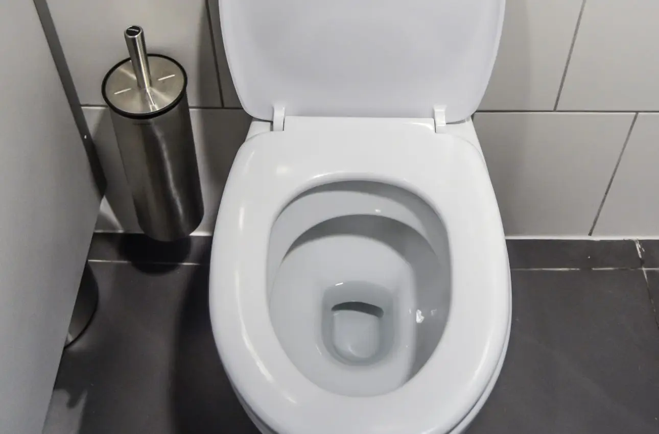 Ecco come igienizzare a fondo il WC senza usare candeggina Ecco come igienizzare a fondo il WC senza usare candeggina