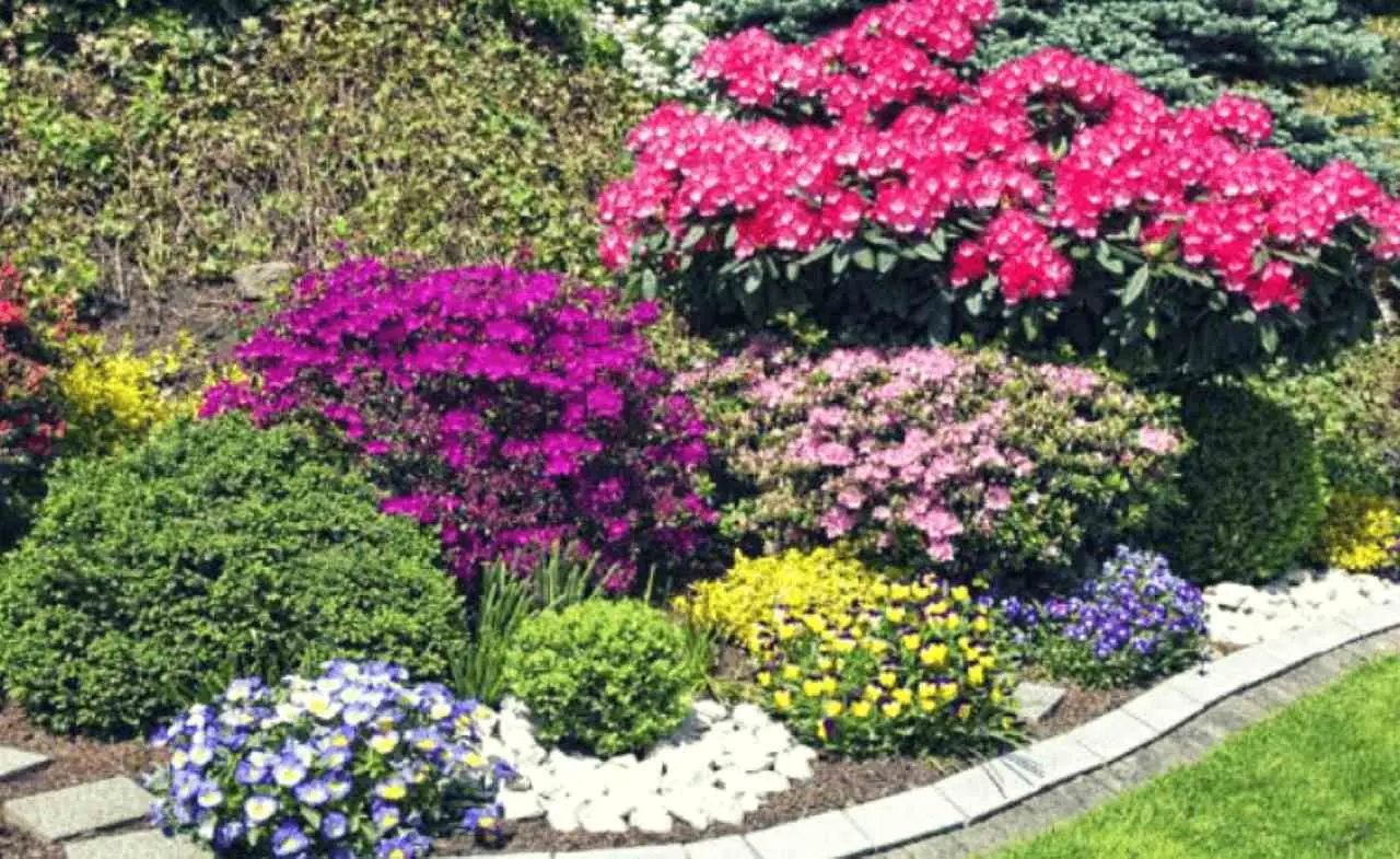 Le 10 piante da non seminare mai gli errori da evitare con fiori ortaggi ed erbe Le 10 piante da non seminare mai gli errori da evitare con fiori ortaggi ed erbe